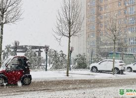 河南3月飄雪 蒜苗還好嗎？ ()