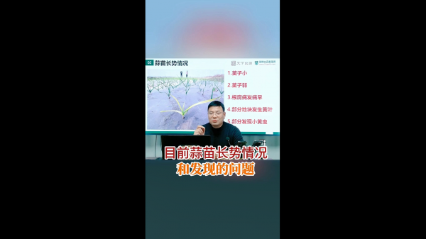 目前蒜苗長勢情況和發(fā)現(xiàn)的問題 ()