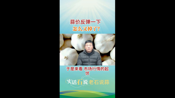 蒜價(jià)反彈一下怎么又掉了？ ()