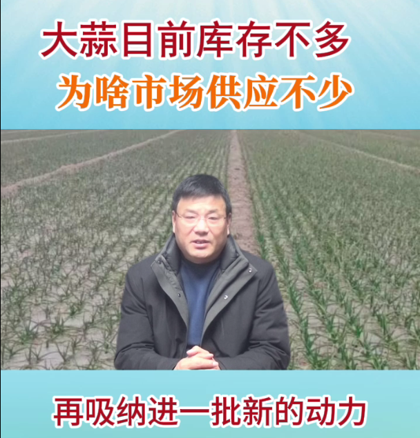 大蒜目前庫存不多，為啥市場供應(yīng)不少 ()