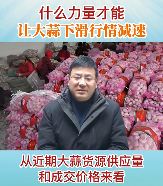 什么力量才能讓大蒜下滑行情減速 ()