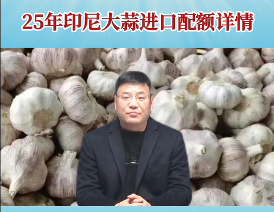 25年印尼大蒜進(jìn)口配額詳情 ()