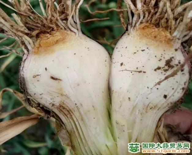 圖片2